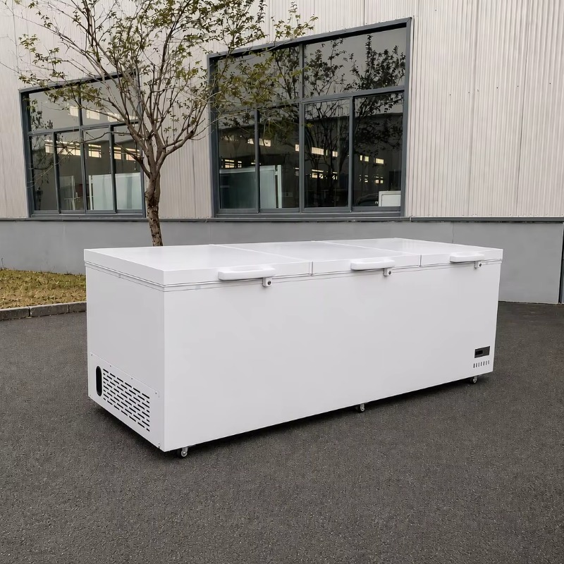 Supermarkt commerciële horizon - Commercial Chest Freezer recensie en prijs
