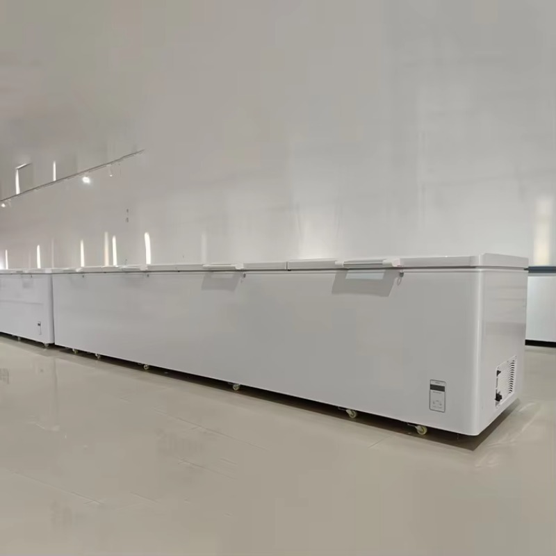 2688 Grote, horizontale, vierd - Commercial Chest Freezer recensie en prijs