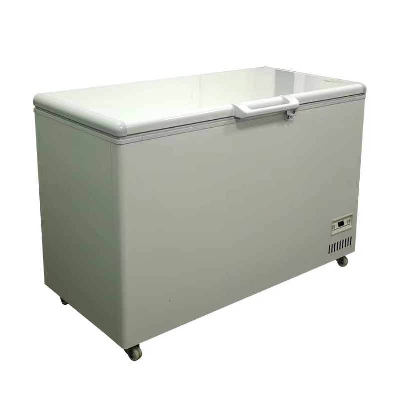 Horizontale vrieskist met bove - Commercial Chest Freezer recensie en prijs